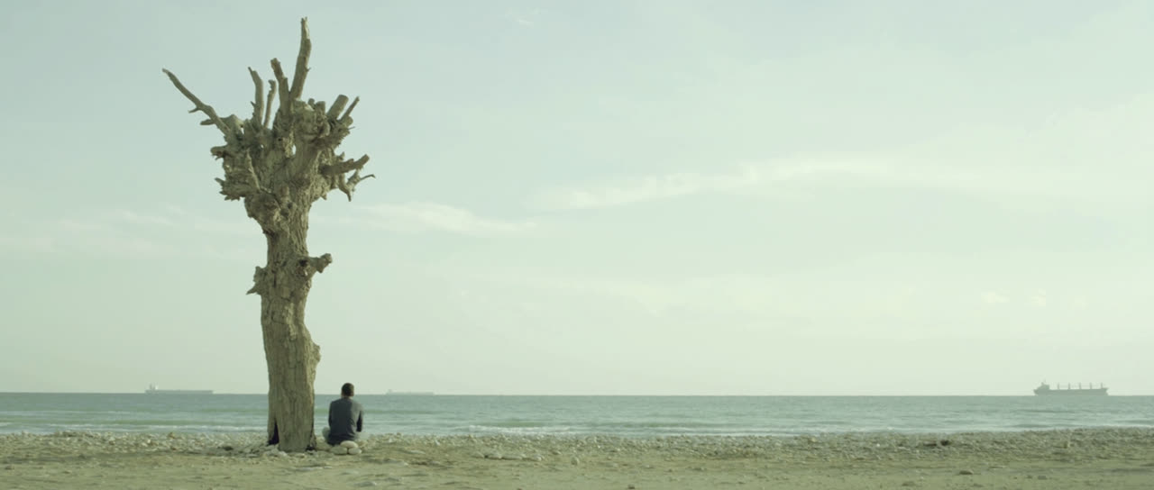 A lone figure sits by a dead tree on a beach